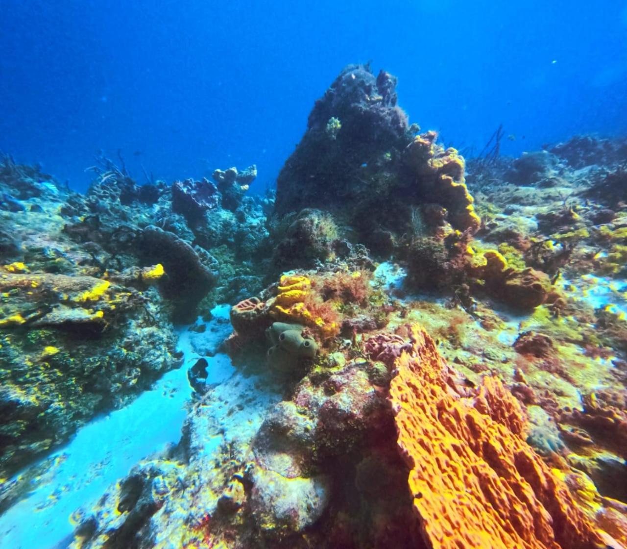 Apartment Scuba House! San Miguel,