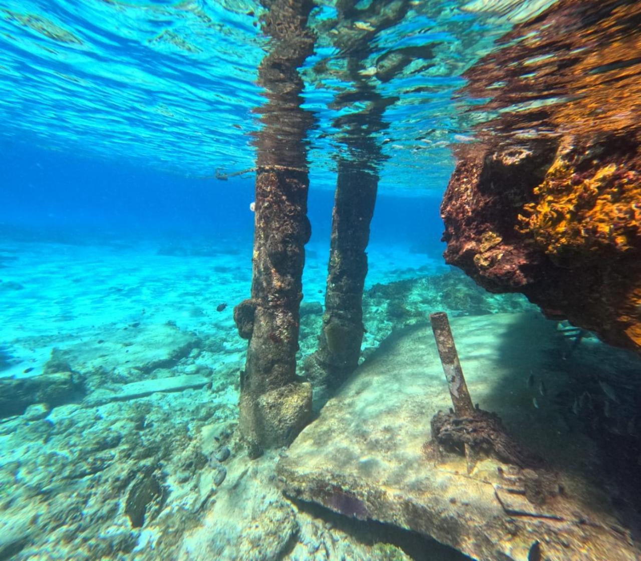 Apartment Scuba House! San Miguel,